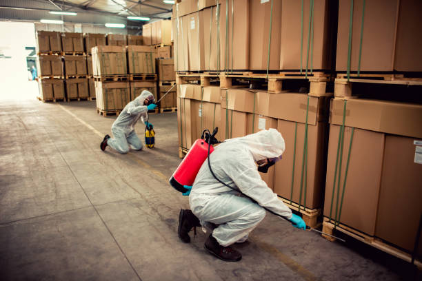 Pest Control for Restaurants in Lake Ronkonkoma, NY