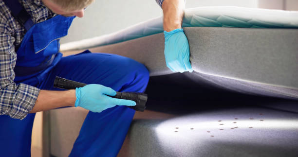 Pest Prevention Services in Lake Ronkonkoma, NY